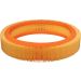 FILTRON Luftfilter AR 206