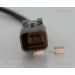 Sensor, Raddrehzahl 818028102