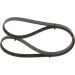 Keilrippenriemen MITSUBISHI,OPEL,TOYOTA,RENAULT 1987948415 Keilrippenriemen MITSUBISHI,OPEL,TOYOTA,RENAULT 1987948415