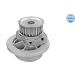 Wasserpumpe 6136000001