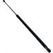 Gasfeder, Hinten 385311