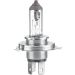 HELLA Glühlampe, Hauptscheinwerfer 8GJ 235 698-101 HELLA Glühlampe, Hauptscheinwerfer 8GJ 235 698-101