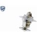 VEMO Thermostat, Kühlmittel V15-99-1894 Expert Kits + VEMO Thermostat, Kühlmittel V15-99-1894 Expert Kits +