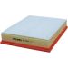 FILTRON Luftfilter AP 029/1