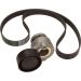 Satz Multi-Roved Gürtel. Dacia/Nissan/Renault 117203694R Satz Multi-Roved Gürtel. Dacia/Nissan/Renault 117203694R