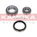 KAMOKA Radlagersatz 5600021 KAMOKA Radlagersatz 5600021