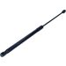 Gasfeder, Koffer-/Laderaum 12-0244