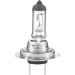 HELLA Glühlampe, Fernscheinwerfer 8GH 007 157-241 HELLA Glühlampe, Fernscheinwerfer 8GH 007 157-241