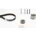 Continental CTAM Timing-Kit CT1077K2