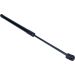 Gasfeder, Koffer-/Laderaum 12-0301