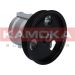 KAMOKA Hydraulikpumpe, Lenkung PP078 KAMOKA Hydraulikpumpe, Lenkung PP078