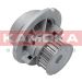 KAMOKA Wasserpumpe T0231 KAMOKA Wasserpumpe T0231