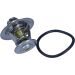 Thermostat, Kühlmittel 352317100900