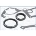 Dichtungsvollsatz, Motor FIBERMAX 50109500
