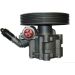 SPIDAN Hydraulikpumpe 54420 SPIDAN Hydraulikpumpe 54420