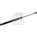 Gasfeder, Koffer-/Laderaum 31679 Gasfeder, Koffer-/Laderaum 31679
