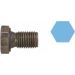 CORTECO Stecker 220115S CORTECO Stecker 220115S