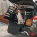 Thule Allax Hundebox L - sicherer und komfortabler Transport für Hunde Thule Allax Hundebox L - sicherer und komfortabler Transport für Hunde