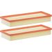 FILTRON Luftfilter AP 118/3-2x