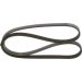 Keilrippenriemen KIA,MAZDA,LANCIA,FIAT 1987947905 Keilrippenriemen KIA,MAZDA,LANCIA,FIAT 1987947905