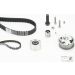 CONTINENTAL CTAM Zahnriemensatz CT1229K2PRO