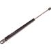 Gasfeder, Motorhaube 12-0040