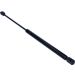Gasfeder, Koffer-/Laderaum 12-0080
