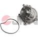 JPN Wasserpumpe 10C9081-JPN JPN Wasserpumpe 10C9081-JPN