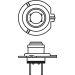 Glühlampe (Set 2Stk) H7 12V 55W Px26D Ultraweiss, Bia A 4200K Ultra White DBL 1 987 301 441
