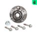 Radlagersatz 300800 Radlagersatz 300800