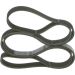 Keilrippenriemen FORD,RENAULT,OPEL,AUDI,TOYOTA 1987946015