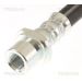 Bremsschlauch 815013326