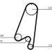 Continental CTAM Timing-Kit CT910K1 Continental CTAM Timing-Kit CT910K1