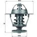 Thermostateinsatz mit Dichtung TX 68 88D