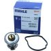 Thermostateinsatz mit Dichtung TX 474 92D