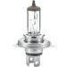 HELLA Glühlampe, Nebelscheinwerfer 8GJ 002 525-131 STANDARD