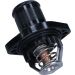 Thermostat, Kühlmittel 352317101030
