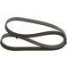 Keilrippenriemen VW,HONDA,FORD,MERCEDES 1987947995 Keilrippenriemen VW,HONDA,FORD,MERCEDES 1987947995