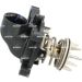 NRF Thermostat, Kühlmittel 725262