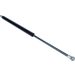 Gasfeder, Koffer-/Laderaum 12-0121