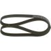 Keilrippenriemen AUDI,SEAT,SKODA,VW 1987948381 Keilrippenriemen AUDI,SEAT,SKODA,VW 1987948381