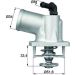 Integralthermostat mit Dichtung TI 54 92D