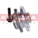 KAMOKA Radlagersatz 5500069 KAMOKA Radlagersatz 5500069