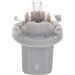 24V 1,2W TRUCK LIGHT B8,5d BOSCH KFZ-GLUEHLAMPE Trucklight 1987302514