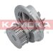 KAMOKA Wasserpumpe T0231 KAMOKA Wasserpumpe T0231