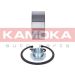 KAMOKA Radlagersatz 5600076 KAMOKA Radlagersatz 5600076