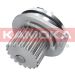 KAMOKA Wasserpumpe T0080 KAMOKA Wasserpumpe T0080