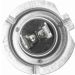VEMO Glühlampe, Nebelscheinwerfer V99-84-0002 Green Mobility Parts