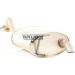 52 / Auspufftopf Hinten 23267