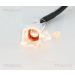 Sensor, Raddrehzahl 818013102